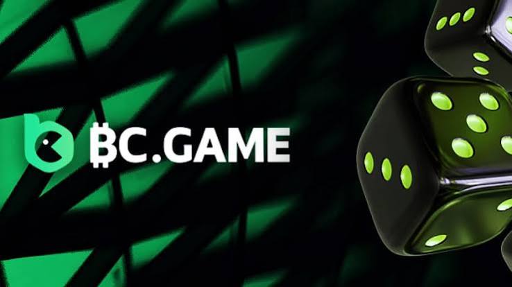 Exploring BC.Game Mirrors Your Gateway to Enhanced Gaming